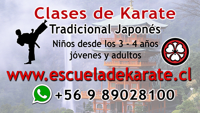Clases de Karate Vi�a del Mar